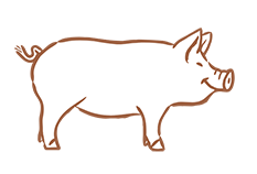 MeatCrisp IBERICO